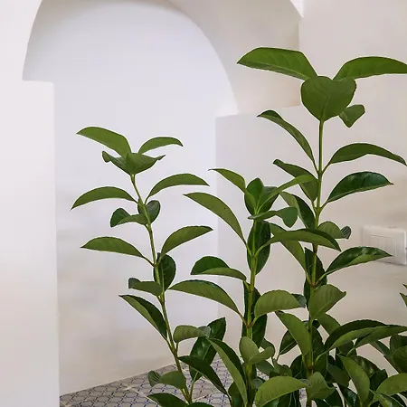 فندق مبيت وإفطار Cala Peppa باليرمو